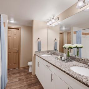 Bathroom with soaking bathtub and double vanity at Camden Holly Springs Apartments in Houston, TX
