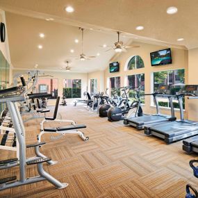 Fitness center with cardio and free weights at Camden Holly Springs Apartments in Houston, TX