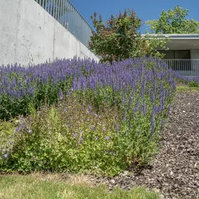 Bild von Emmenegger Garten- Tiefbau AG