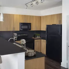 Black granite finishes in kitchen with black appliances and pantry