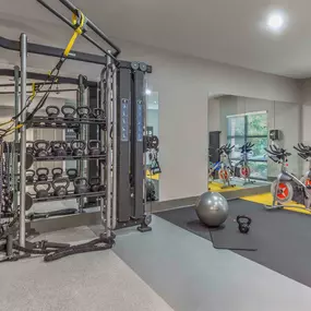 Crossfit room with trx trainer