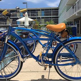 Several blue bikes