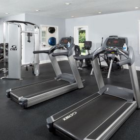 Fitness center with free weights circuit training cardio equipment and yoga studio
