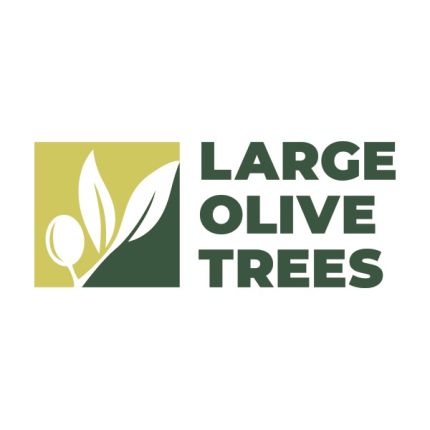 Logotyp från Large Olive Trees