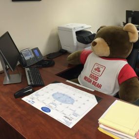Neighbear wanted to help out in the office today!