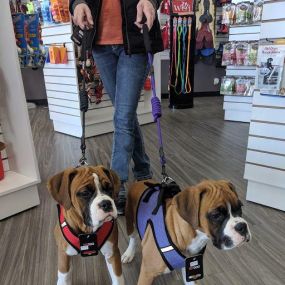 Pet Central Station is a locally owned family operated business in Lincoln, NE. We are a one-stop pet store offering a personalized customer experience to every visitor that walks through our door.