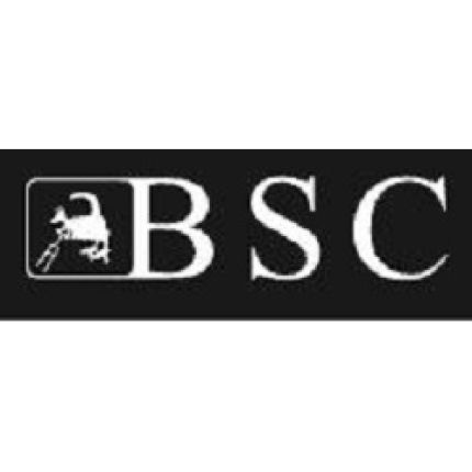 Logotyp från B.S.C.