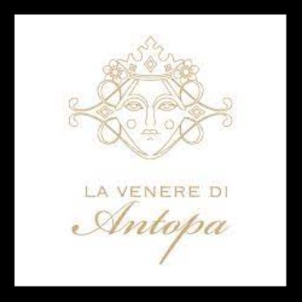 Logo da La Venere di Antopa Abiti da Sposa