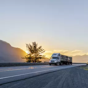 Frozen food transportation VA