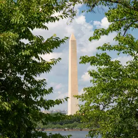 Washington Monument