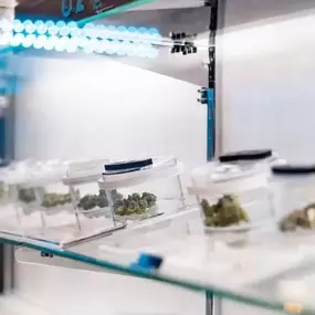 Bild von Ascend Cannabis Dispensary - Morenci