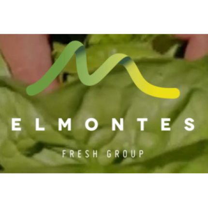 Logo von Agromontes Fresh Group S.L.