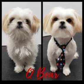 Bild von Woof Gang Bakery & Grooming Pooler