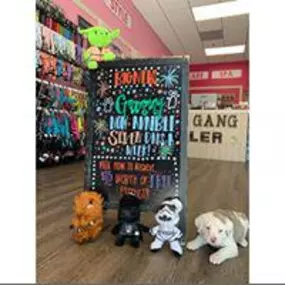 Do you need someone to deliver pet products at your doorsteps? Woof Gang Bakery & Grooming is a local store-to-door delivery service in  US States, Capitals, and Government Links Georgia to fulfil all of your companion animal’s needs.