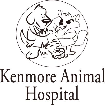 Logo van Kenmore Animal Hospital