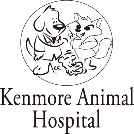 Logo von Kenmore Animal Hospital