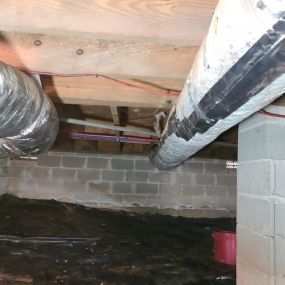 craw space showing duct work; mold damaged area