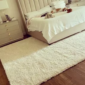 Whether a customer is looking for an indoor or outdoor area rug, Carpet One has them covered with 300+ room sized rugs in stock and ready for purchase. For any of the product lines we carry, we are able to special order rugs from their catalogs. Our in stock area rugs are primarily 8x10 and 10x13 with a huge selection of patterns, textures and prints to complement any room in any home or office. We also carry the following sizes: 5x8, 6x9, 8x10, 8x11, and 9x12.

As new floorplans evolve, many pe