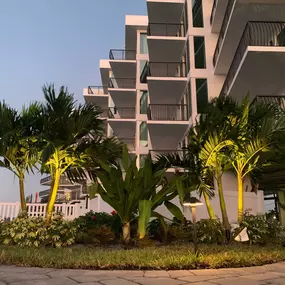 Bild von Fusion Resort