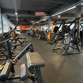 Basic-Fit Rotterdam 1e Jerichostraat - free weight zone