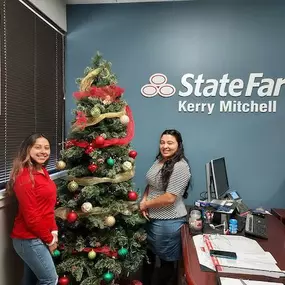 Kerry Mitchell - State Farm Insurance Agent