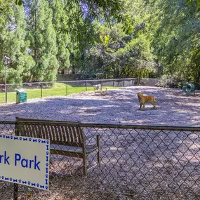 Private, fenced dog park for small and large dogs at Camden Fairview Apartments in Charlotte, NC