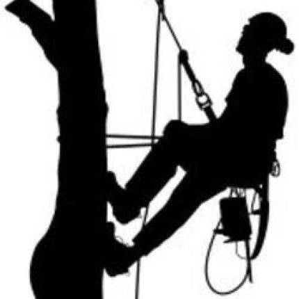 Logo von 999 Tree Service Louisville KY