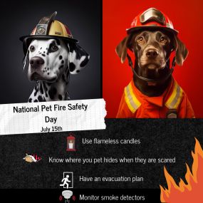 National pet fire safety!