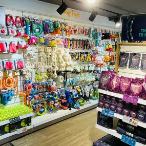 Pets Corner Midhurst Interior