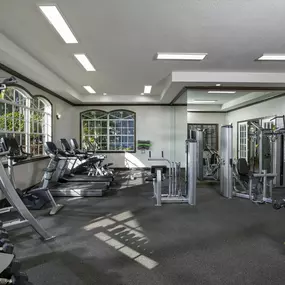 Fitness Center with Cardio and Strength Training Equipment