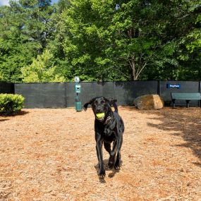 Onsite fenced dog park