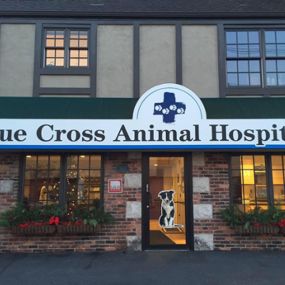 Welcome to VCA Blue Cross Animal Hospital of Amherst!
