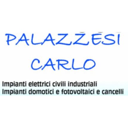 Logo from Carlo Palazzesi Impianti Elettrici