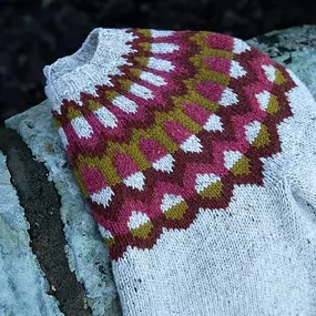 Our Fair Isle Sweater class starts October 14!

Our Fair Isle Sweater class is the perfect introduction to the world of top-down, colorwork yoke sweater knitting!