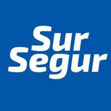 Logótipo de SurSegur