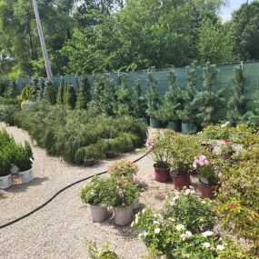 Bild von Snow's Landscape & Nursery