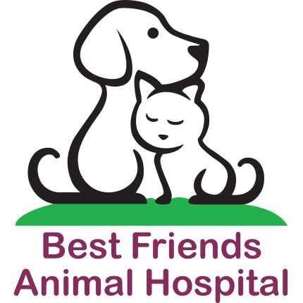 Logo da Best Friends Animal Hospital