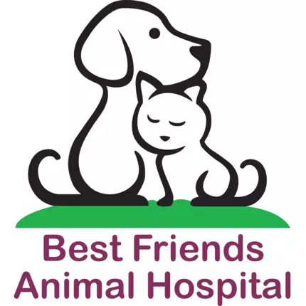 Logo de Best Friends Animal Hospital