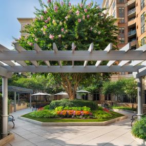 Serene outdoor courtyard with grilling stations at Camden Potomac Yard