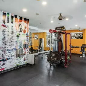 24-hour fitness center with strength training equipment at Camden Potomac Yard apartments in Arlington, VA.