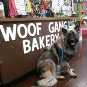 Bild von Woof Gang Bakery & Grooming Starland