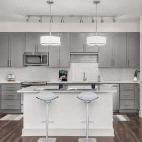 Large kitchen grey design scope with island