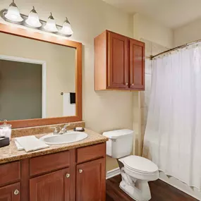 Bathroom with wood like flooring at Camden Woodson Park in Houston, TX