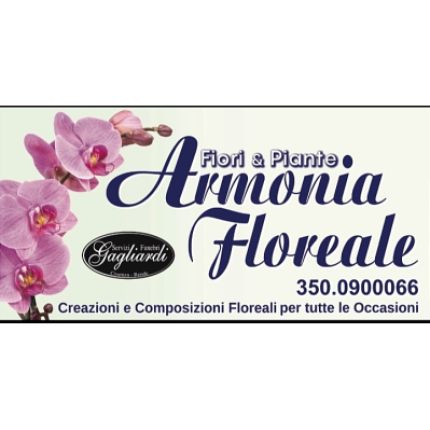 Logo de Fiori e Piante Armonia Floreale