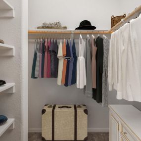 Walk-in closet with built-in shelves and wooden rods