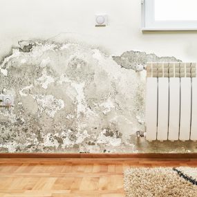 As a result of water damage, mold grows on damp, moist surfaces such as walls, ceilings, and underneath carpet, to name a few spaces. To ensure that the health of your family isn’t compromised, it’s essential to have the mold removed by a professional company with experience in mold remediation.