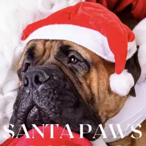 We love celebrating the season with Santa Paws!