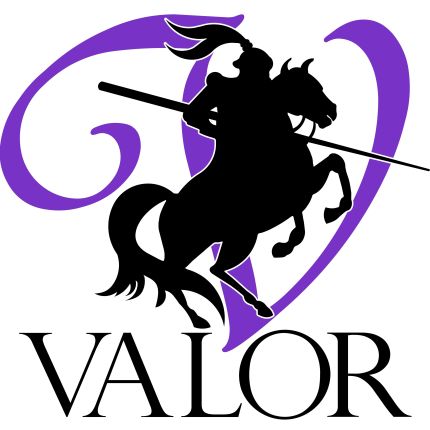 Logo da Valor Mold Removal