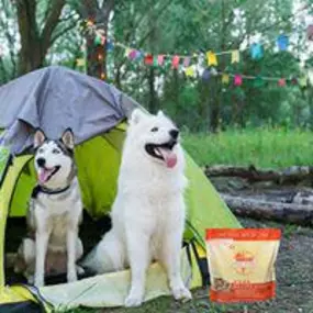 Looking for a raw diet for your pets? Simply Diego's in New Mexico offers the largest selection of raw diets, with a strong focus on holistic and natural pet care. We also provide homeopathic and herbal remedies to support your pet’s overall wellness.