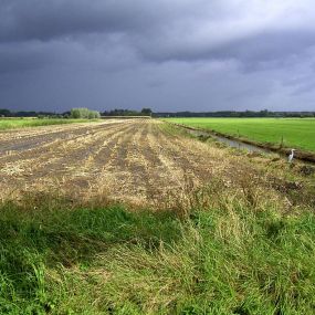 Bild von Adviesbureau CLM Onderzoek en Advies BV